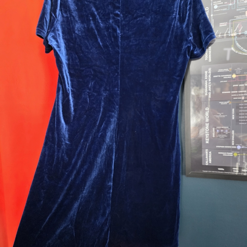 Velvet Mini Dress - Picture 4 of 4
